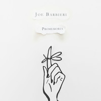 Joe Barbieri - Promemoria