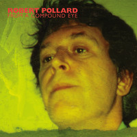Robert Pollard - From a Compound Eye