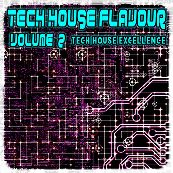 Various Artists - Tech House Flavour, Vol. 2 (Tech House Excellence)