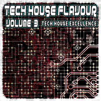 Various Artists - Tech House Flavour, Vol. 3 (Tech House Excellence)