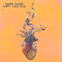 Paddy Casey - Won't Take Much (Single)