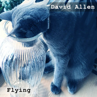 David Allen - Flying (Radio Edit)