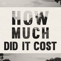 Timbo - How Much Did It Cost