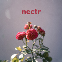Nectr - Scared (Explicit)