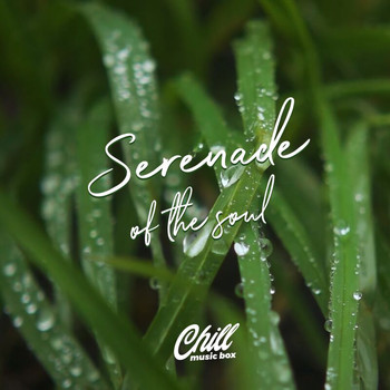 Chill Music Box - Serenade Of The Soul