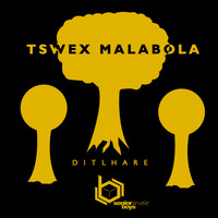 Tswex Malabola - Ditlhare