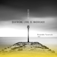 Ensemble Tarentule - Gesualdo : 4ème livre des madrigaux