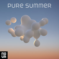 Steve Everitt, Robin Everitt - Pure Summer