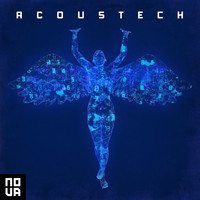 Steve Everitt, Robin Everitt - Acoustech