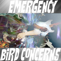 Bird Concerns - Emergency