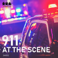 Klas Wahl, Anders Niska - 911: At the Scene