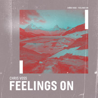 Chris Voss - Feelings On