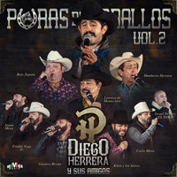 Diego Herrera - Diego Herrera y Sus Amigos - Puras de Caballos Vol. 2