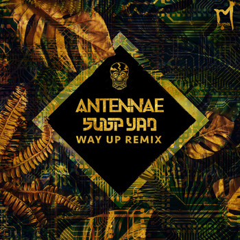 An-ten-nae & Subp Yao - Way Up (Subp Yao Remix)