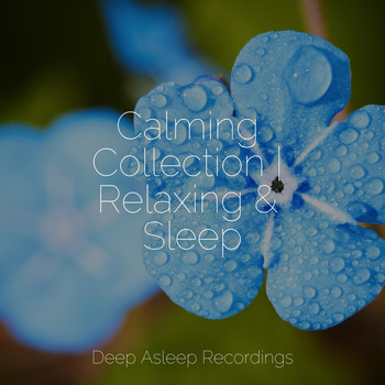 Tranquility Spa Universe, Music for Absolute Sleep, Kinderlieder Megastars - Calming Collection | Relaxing & Sleep