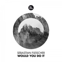 Sebastian Fleischer - Would You Do It