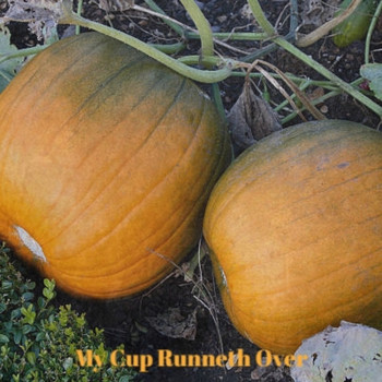 Various Artist - My Cup Runneth Over
