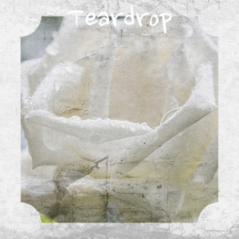 Various Artist - Teardrop