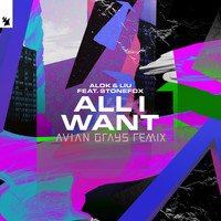 Alok & Liu feat. Stonefox - All I Want (AVIAN GRAYS Remix)