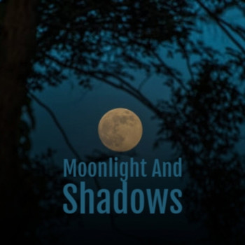 Various Artist - Moonlight And Shadows