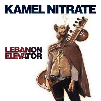 Kamel Nitrate - Lebanon Elevator