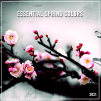 Various Artists / - Essential Spring Colors 2021