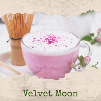 Various Artist - Velvet Moon