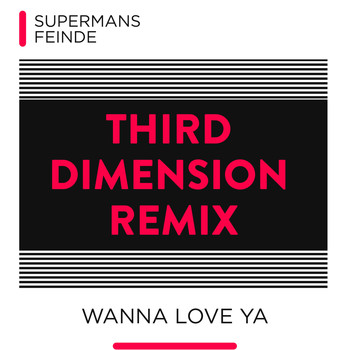 Supermans Feinde - Wanna Love Ya (Third Dimension Remix)