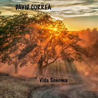 David Correa - Vida Sonoma