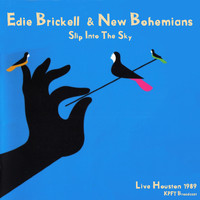 Edie Brickell & New Bohemians - Slip Into The Sky (Live 1989)