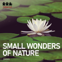 Anders Niska - Small Wonders of Nature