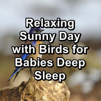 Yoga & Meditation - Relaxing Sunny Day with Birds for Babies Deep Sleep
