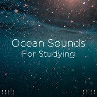 Ocean Sounds, Ocean Waves For Sleep and BodyHI - ! ! ! ! ! Ocean Sounds For Studying ! ! ! ! !