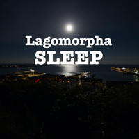 Lagomorpha - Sleep