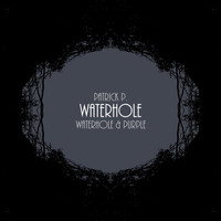 Patrick P. - Waterhole