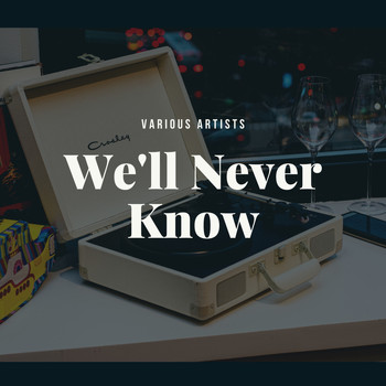 Various Artists - We'll Never Know