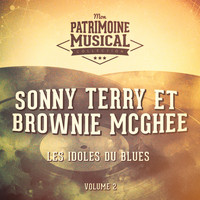 Sonny Terry, Brownie McGhee - Les idoles du blues : Sonny Terry et Brownie McGhee, Vol. 2