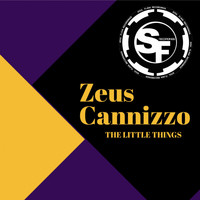 Zeus Cannizzo - The Little Things