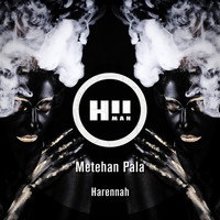Metehan Pala - Harennah
