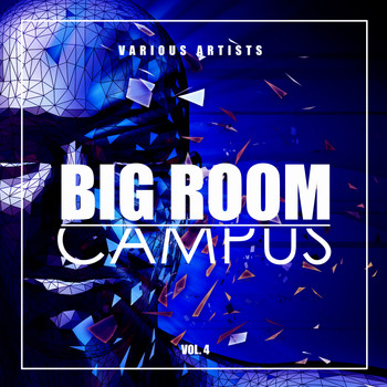 Various Artists - Big Room Campus, Vol. 4