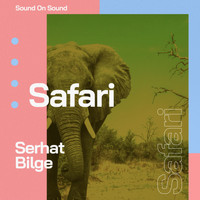 Serhat Bilge - Safari