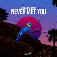 Mateo - Never Met You