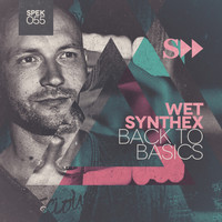 Wet Synthex - Back To Basics