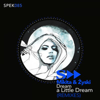 Mikita, Zyski - Dream a Little Dream (Remixes)