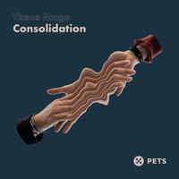 Theus Mago - Consolidation EP
