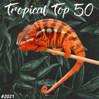 Francesco Digilio - TROPICAL TOP 50 #2021