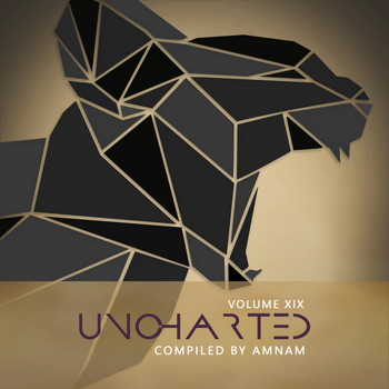 Various Artists - Uncharted Vol.19