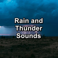 Nature Tribe - Rain and Thunder Sounds