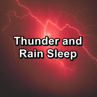 Sleep - Thunder and Rain Sleep