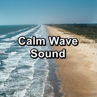 The Ocean Waves Sounds - Calm Wave Sound